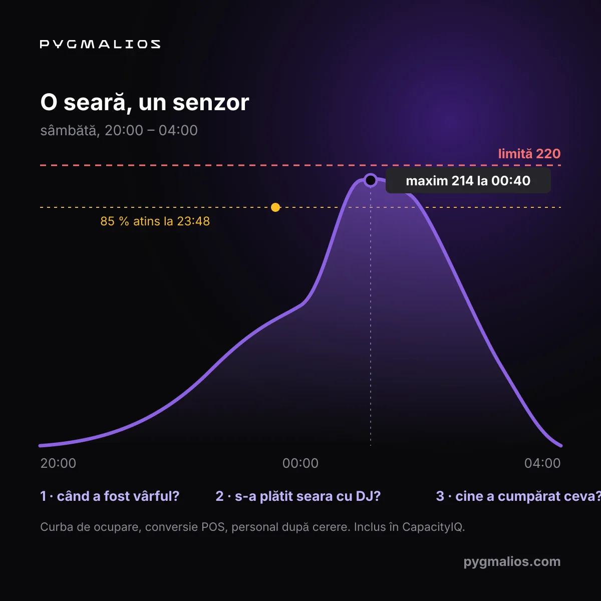 Diagramă a unei nopți într-un club: ocuparea pe ore, cu vârfurile marcate la intrare, bar și ringul de dans