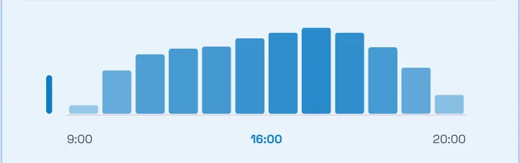 Bar chart of visits per hour from 9:00 to 20:00 with the 16:00 peak highlighted. Schematic.
